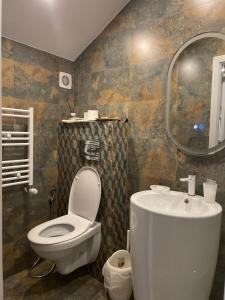 ein Badezimmer mit einem WC, einem Waschbecken und einem Spiegel in der Unterkunft Ami Residence Bucharest Airport&Therme&Parking in Otopeni