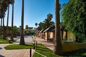 a row of palm trees in a park with buildings at Villa Rosa Atlantic Fuerteventura in Corralejo