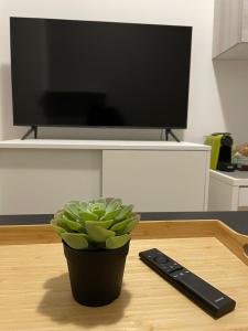 a plant sitting on a table with a remote control at [Rho Fiera – Milano] Teal Apartment in Cornaredo