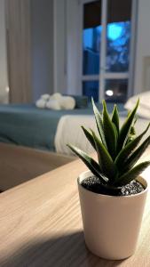 a potted plant sitting on a table in a bedroom at [Rho Fiera – Milano] Teal Apartment in Cornaredo