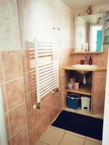 a bathroom with a shower and a sink at T1 bis, jardin, proche du centre in Seyssinet-Pariset