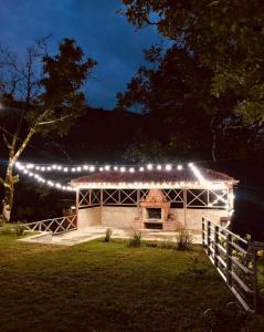 Zahrada ubytování Villa Kursebi