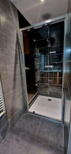 eine Dusche im Bad mit Glastür in der Unterkunft duplex cocooning à 10 min à pied du centre ville in Saint-Nabord