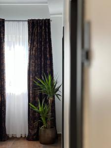 Billede fra billedgalleriet på Motel SUPER SAN i Posušje + 10 billeder