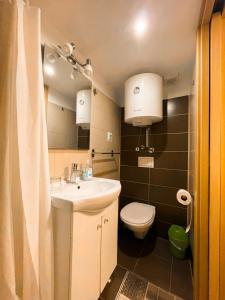 Kúpeľňa v ubytovaní Studio Ricardo, Opatija