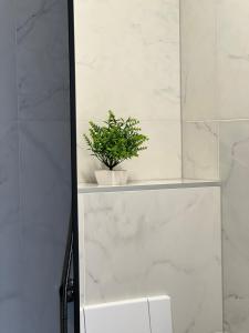une plante assise sur une étagère dans une salle de bains dans l'établissement Super SAN, à Posušje
