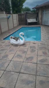 una piscina con un cisne en el medio en Annie Studio, en Heidelberg