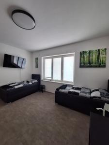 2 letti in una camera con 2 finestre di Apartmány Přerov 22 a Přerov