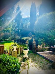 un jardín con una planta en un jarrón en el suelo en Domaine Du Moulin Vallée Heureuse, en Poligny