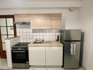 uma cozinha com um lavatório e um frigorífico em Appartement au centre-ville avec cour em Langres