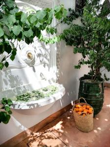 un panier d'oranges dans une salle de bains avec un arbre dans l'établissement Riad Dar Nouba, à Marrakech