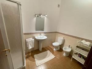 a bathroom with a sink and a toilet and a mirror at Floris Home tra Mare e Montagna in Zafferana Etnea +37 photos