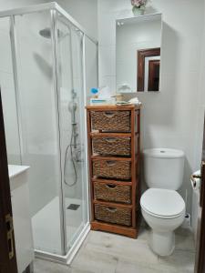 a bathroom with a shower and a toilet and a sink at apartamento central in Ribadesella