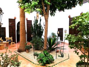 un jardin avec des arbres et des plantes dans une cour dans l'établissement Riad Dar Nouba, à Marrakech
