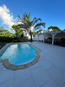 una piscina con patio e palme di Studio piscine centre Gosier a Le Gosier