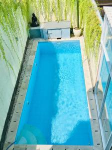 - une vue sur la piscine d'eau bleue dans l'établissement Villa Jalak Kembar, à Canggu