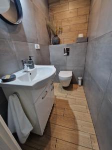 Kúpeľňa v ubytovaní Apartament w Śródmieściu