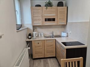 Kuchyňa alebo kuchynka v ubytovaní Apartament w Śródmieściu