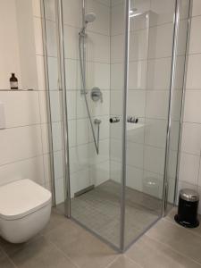 a bathroom with a shower and a toilet at Businessapartment Metzingen Wilhelmstraße in Metzingen