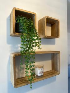 two wooden shelves with a plant on a wall at République in Verberie