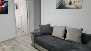 a living room with a gray couch in a room at Apartament David in Râmnicu Vâlcea