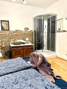 een slaapkamer met een douche en een bed in een kamer bij City center Apartment in Wenen