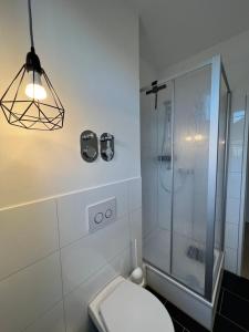 a white bathroom with a shower and a toilet at Apartmenthaus Buxtehude St -Petri-Platz Apt 4 in Buxtehude