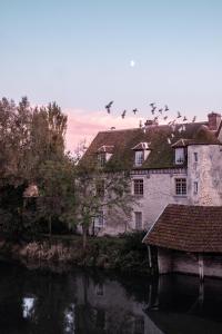 een zwerm vogels die over een gebouw naast een rivier vliegen bij Le Prieuré sur Seine in Marnay-sur-Seine