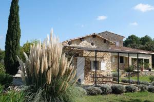 una casa de piedra con un cactus delante en Domaine El Bey - Coin de paradis en Provence en Saint-Cannat