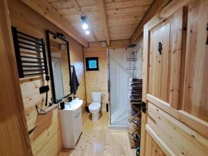 a bathroom with a toilet and a sink at Świętokrzyskie Stodoły - Domek AJWO 