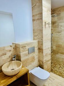 a bathroom with a sink and a toilet and a shower at Stone House Sinaia in Sinaia