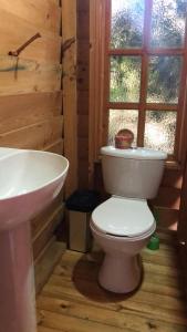 a bathroom with a toilet and a sink in a cabin at Cabañas Villa Isabel in Cajicá