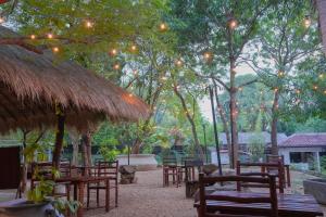 Royal Retreat, Sigiriya 5 mins to Sigiriya Rock في سيجيريا: مجموعة من الطاولات والكراسي تحت الأشجار مع وجود أضواء