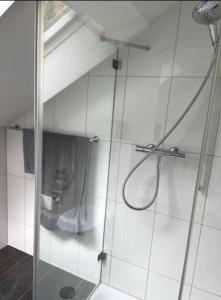 y baño con ducha y puerta de cristal. en Herzliches Zimmer im Zürcher Oberland en Wald
