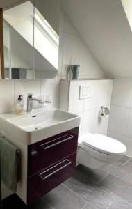 W łazience znajduje się umywalka, toaleta i lustro. w obiekcie Herzliches Zimmer im Zürcher Oberland w mieście Wald