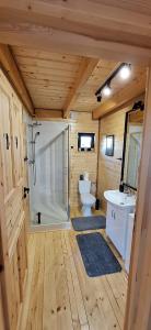 un bagno con wc, doccia e lavandino di Świętokrzyskie Stodoły - Domek TUTOK a Psary Kąty