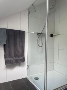 baño con ducha y puerta de cristal en Herzliches Zimmer im Zürcher Oberland, en Wald