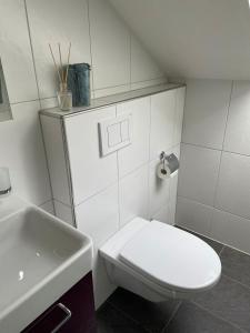 a white bathroom with a toilet and a sink at Herzliches Zimmer im Zürcher Oberland in Wald
