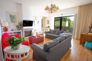 a living room with a couch and a tv at Quinta da Pitarrela in Peso da Régua