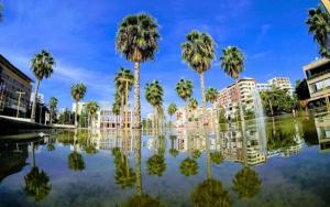 un reflejo de palmeras en un gran cuerpo de agua en CityPart, en Durrës
