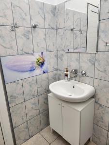 a bathroom with a sink and a mirror at Best apartment- airport in Sofia