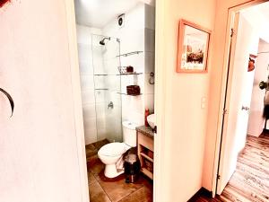 a bathroom with a toilet and a sink at departamento encantador céntrico con balcon in Lima +21 photos