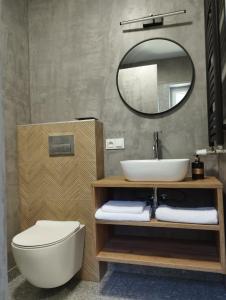 ein Badezimmer mit einem Waschbecken, einem WC und einem Spiegel in der Unterkunft Złoty Zakątek in Złoty Stok