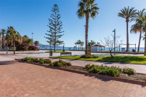 un parc avec des palmiers et un banc près de la plage dans l'établissement Apartamento IRMASOL, à Torre del Mar