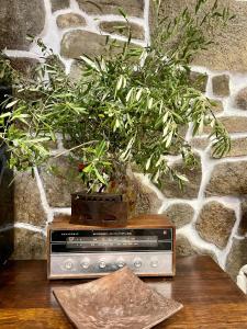 a radio sitting on a table with a potted plant at Arxontiko Hotel in Mirina