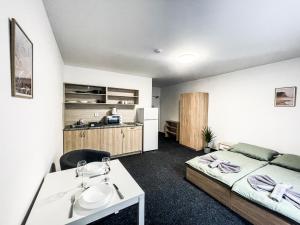 Kuchyň nebo kuchyňský kout v ubytování Apartmány Plzeň Zborovská 22 a