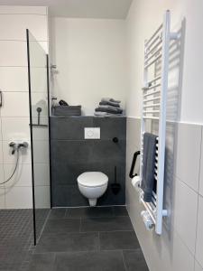 La salle de bains est pourvue d'une douche et de toilettes blanches. dans l'établissement Charming Homes - Studio 10, à Wolfsburg