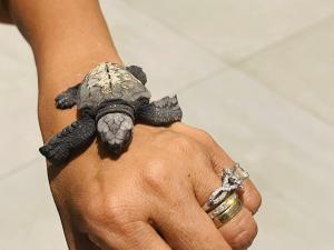 Foto dalla galleria di Vis Ta Vie -Thema Collection a Mirissa