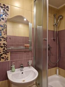 y baño con lavabo y ducha. en Iļģuciema Apartment, en Riga