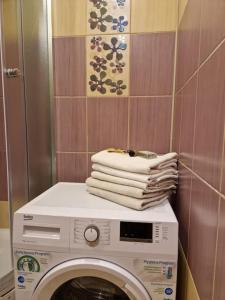 una pila de toallas sobre una lavadora en Iļģuciema Apartment en Riga